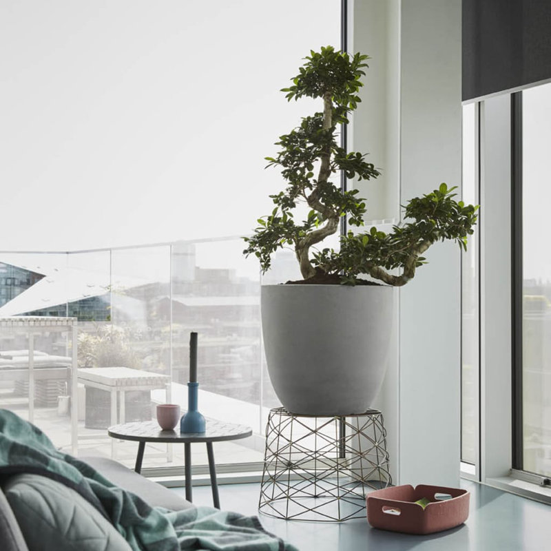 Capi Egg Planter Urban Smooth, 52 cm H x 54 cm W x 54 cm D, Grey