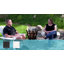 Chaises Adirondack en plastique Weweantic-728332742