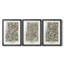 Ensemble de 3 pièces de la collection Dccmxcv de William Morroc-932270072-932270074