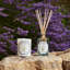 Flowers Lavender Reed Diffuser