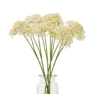 Hydrangea Arrangement