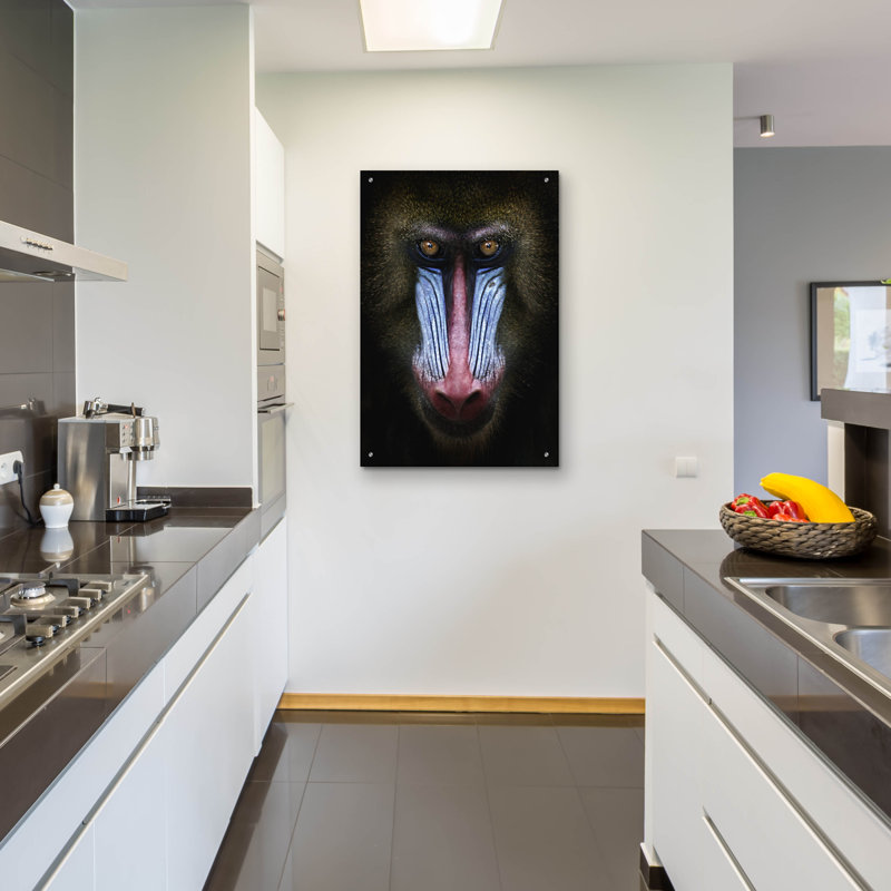 " Mandrill " by SD Smart, 36" H x 24" W x 0.2" D