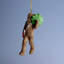 Chewbacca With Christmas Tree Ornament