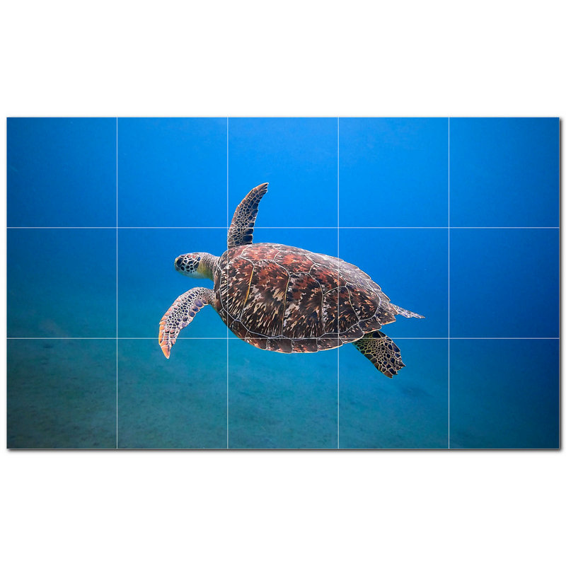 Murale en céramique satinée 6 po x 6 po Turtle Photo