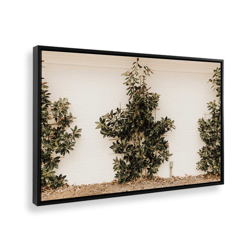 «Green Embrace», reproduction sur toile, H 12,75 po x l 18,75 po x P 1,75 po, Cadre noir satiné