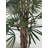 Lady 96 " H Faux Palm Tree