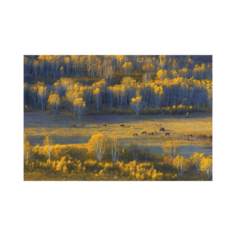 Fall Serenity 1 Piece Wrapped Canvas Painting