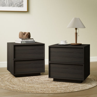 18.9" Wooden Nightstand with 2 Drawers