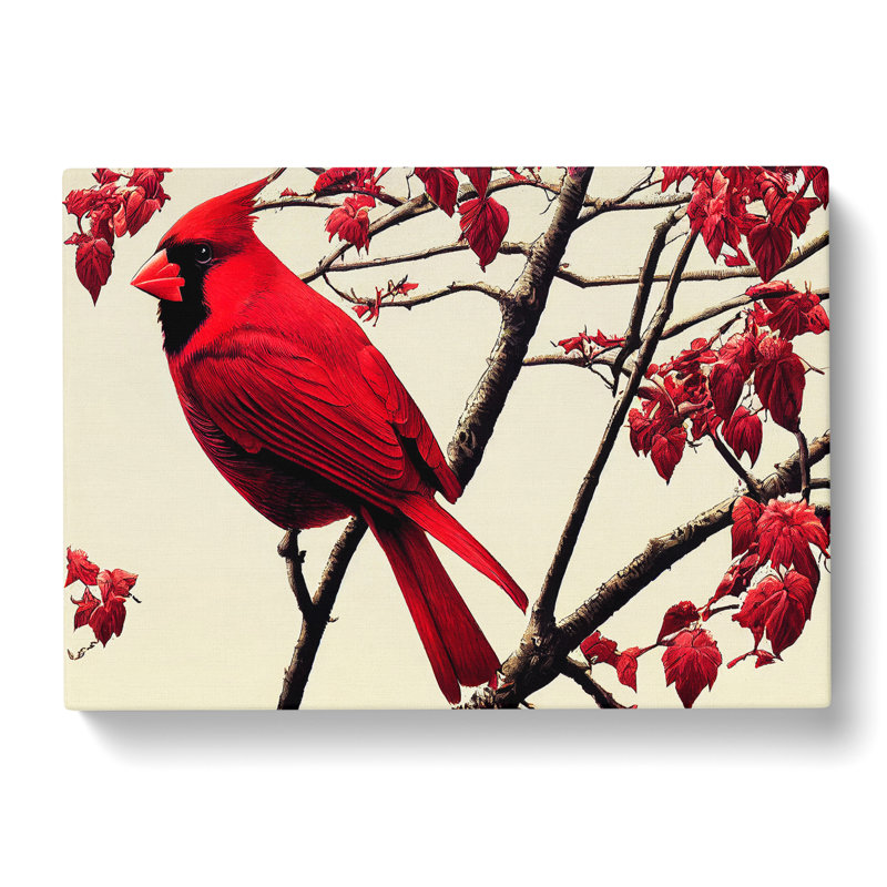 Cardinal Bird - Wrapped Canvas, 50cm H x 76cm W x 3cm D