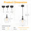 Luminaire suspendu en verre transparent 1 lumière 7,87 "avec cordon réglable, finition noire