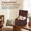 1 Piece Accent Trunk
