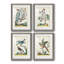 «Pastel Birds I», ensemble de 4 reproductions de cadres photo-1266957733-1266957734