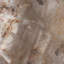 Petrified Wood Organic Sculpture-436953486
