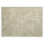 Tapis beige intérieur / extérieur lavable à la machine Chayden ACN1089-109484185