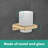 Hansgrohe AddStoris Toothbrush Tumbler-58880720