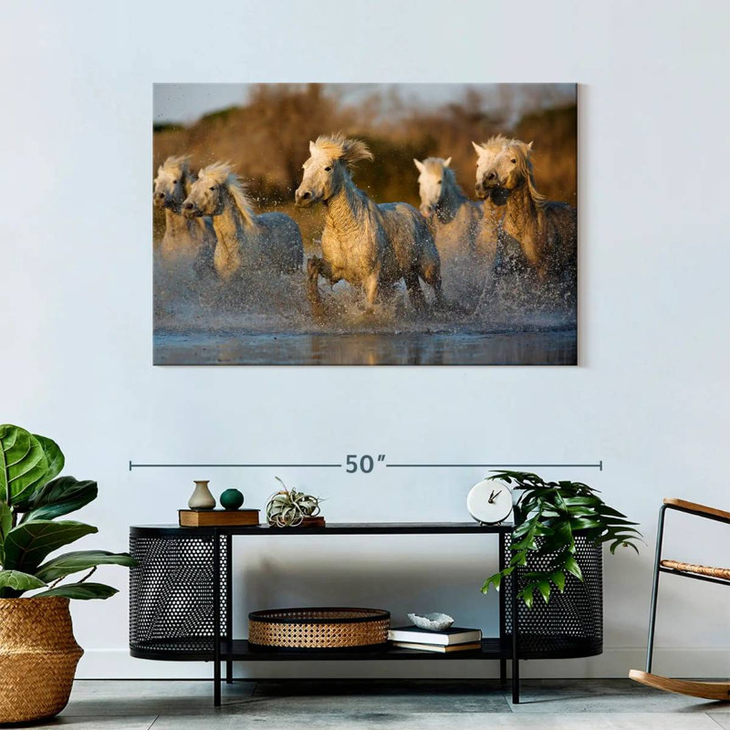 Chevaux camarguais Brampt qui courent dans l'eau, H 30 po x l 45 po