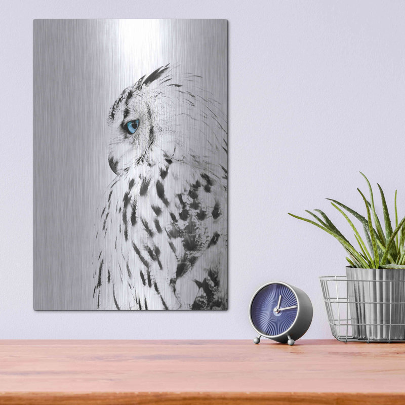«White Owl» par Design Fabrikken - impression sans cadre sur métal, H 16 po x l 12 po x P 0,13 po