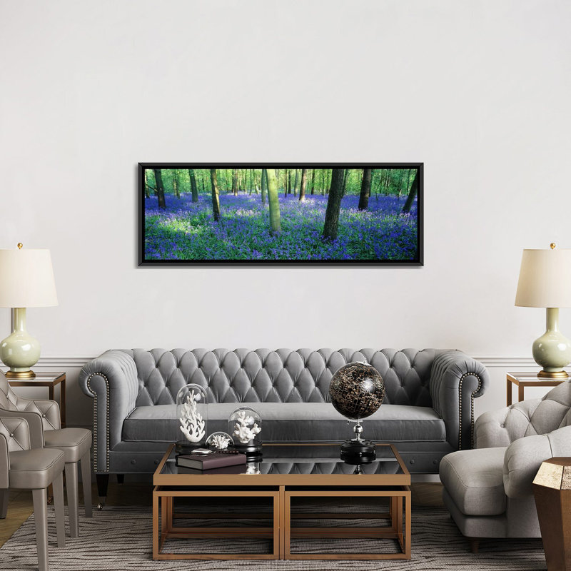 Bluebells panoramique dans une forêt, charfield, gloucestershire, england, reproduction de photo sur toile