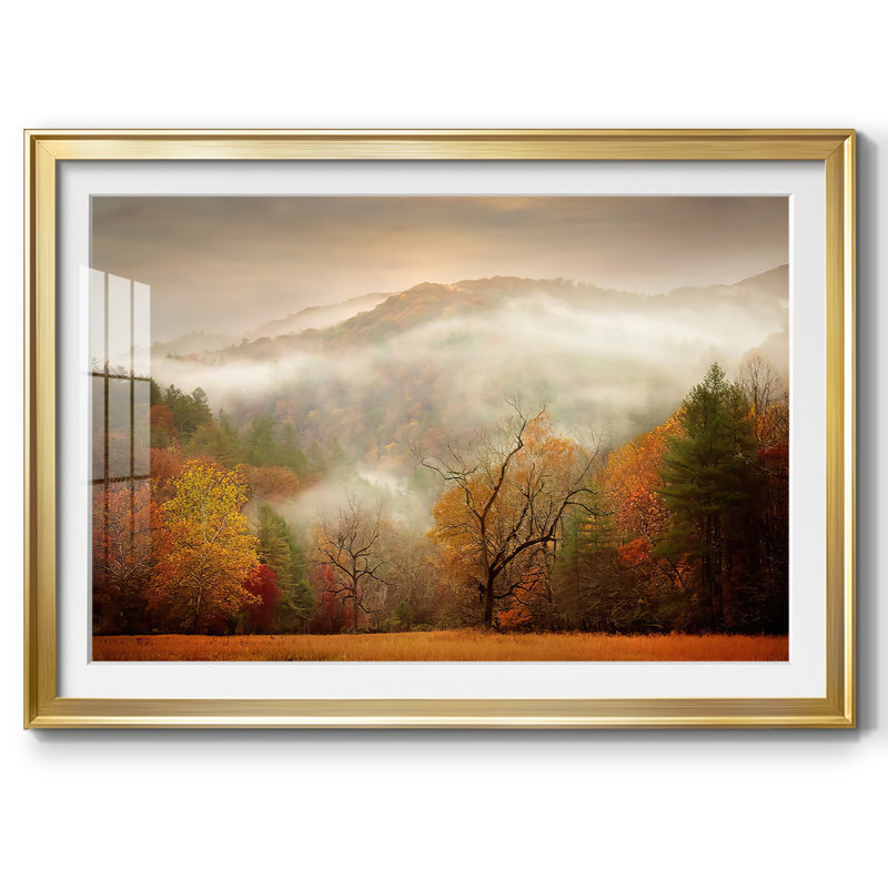 Photographie, Étude d'automne, brume, impression sur papier, Or, H 15 po x l 21 po x P 1,5 po