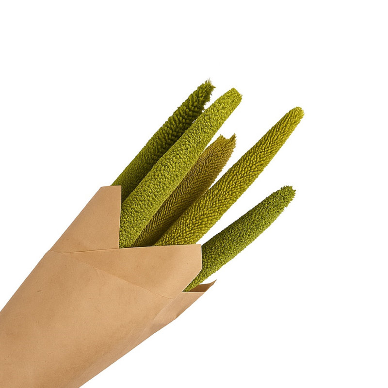 Guthrie 7 Piece Bazra Paper Wrapped Bunch