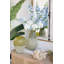 Vase en verre D6.5X12.5 "
