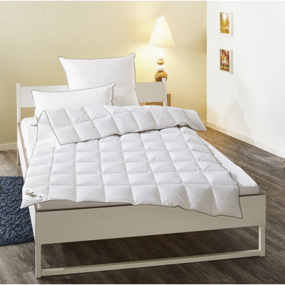 All Season Down Comforter