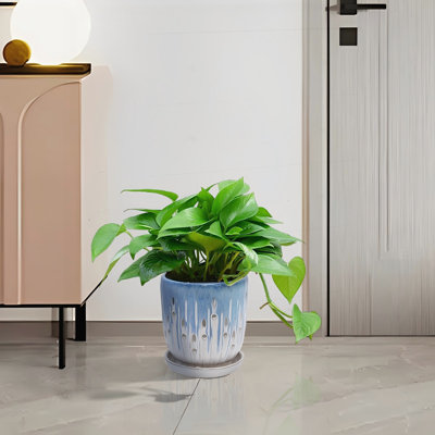 De 2 pots de fleurs en céramique de 8 po, chaleur, gel, finition brillante, drainage pour la croissance des plantes dans tous les pots de fleurs, gel et chaleur, couleur blanc bleu, décoration de jardin