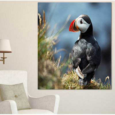 " Cute Puffin Relaxing "