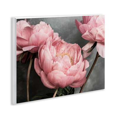 Pink Peonies Trio Wall Plaque Art by Sisi and Seb