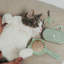 Peigne pour animaux de compagnie
