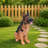 Lifelike German Shepherd Dog Statue