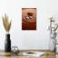 Chocolat fondant Yarlin-106970834
