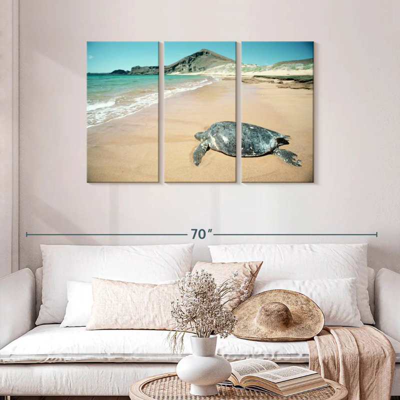 Brampt Galapagos Loggerhead Turtle, 28" H x 45" W