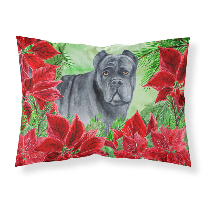 Taie d’oreiller poinsettas, Cane corso brun