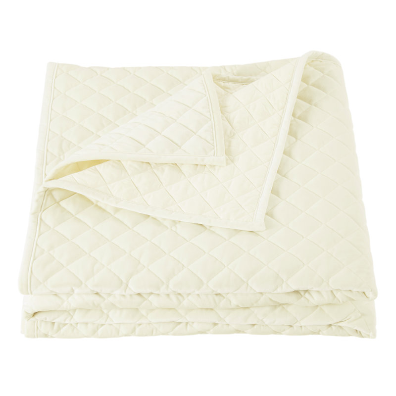 Cream Velvet Twin Quilt Set with Cotton Fill