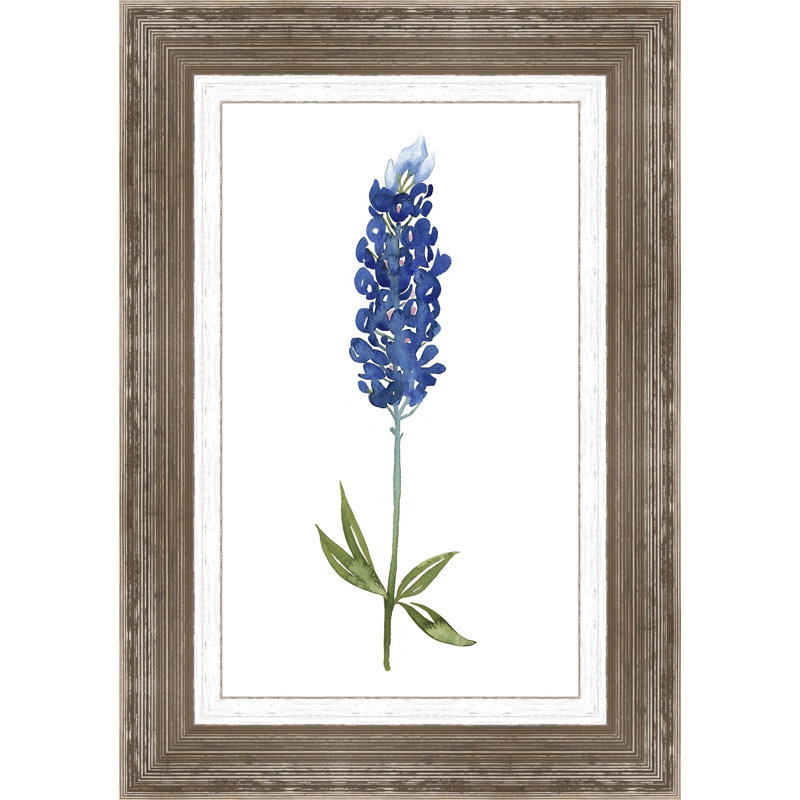 « bluebonnet i », reproduction d’art encadrée