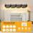 Modern Vanity Wall Sconce (Bulb Not Included)