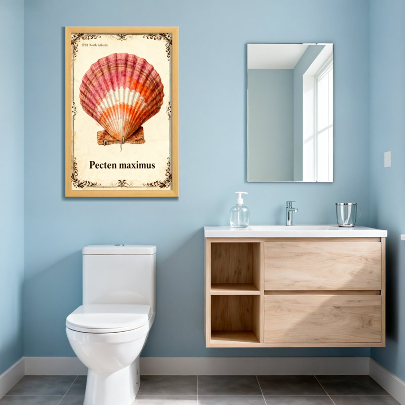 Animaux, pecten, coquille de Maximus, H 36 po x l 24 po, Toile tendue, Ne s’applique pas