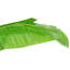 275cm Faux Banana Leaf Tree in Pot
