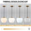 Luminaire suspendu simple 1 lumière
