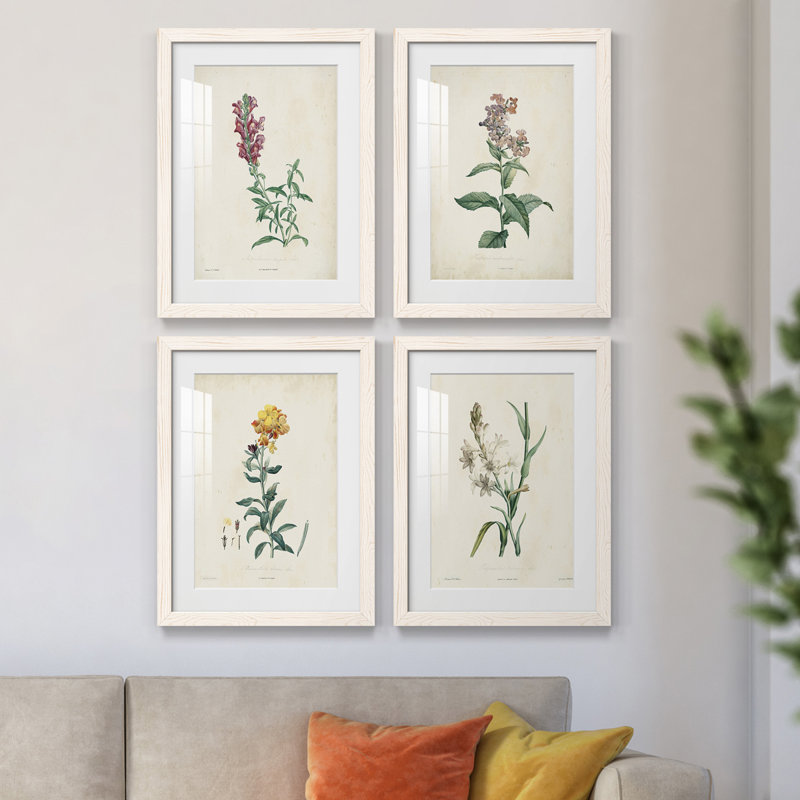 Traditional Botanical I - Ensemble de 4 peintures encadrées, H 37,5 po x l 110 po x P 1,5 po, Cadre blanc
