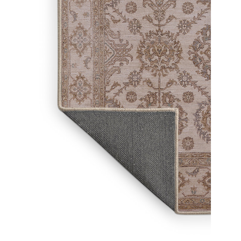 Clybourn Oriental Indoor Rug, Rectangle 5' x 7'