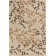 Dedrick Wool Floral Indoor Rug