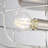 Lyam 2-Light Caged 14" W Flush Mount-1852568043