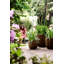 Plant Pot-72816986-72816987