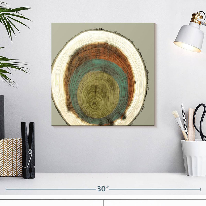 Avery Colored Rings II, 16" H x 16" W