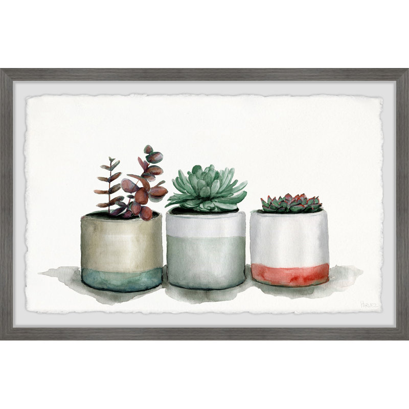 Triple Cactus Line by Parvez Taj - 1 Piece Single Picture Frame Painting, 20 cm H x 30 cm W