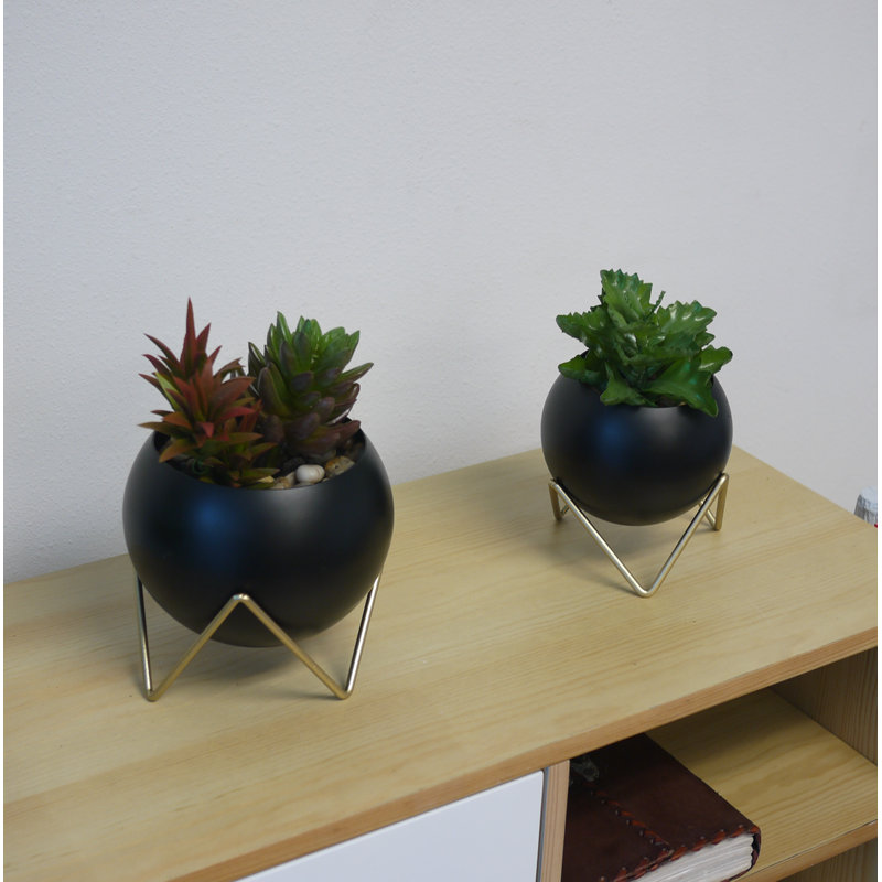 Ceramic Indoor Pot Planter, Black