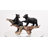 Black Bears on Log