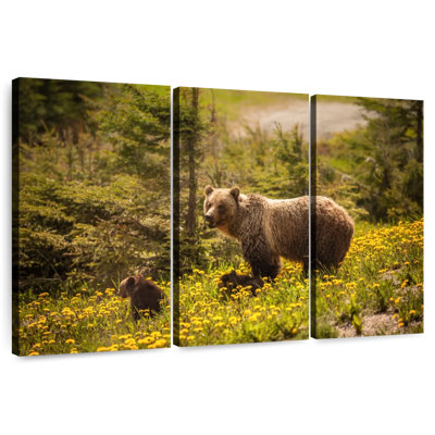 Brampt Canadian Grizzly Bears